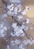 13212 - Yoi 12974 crop  